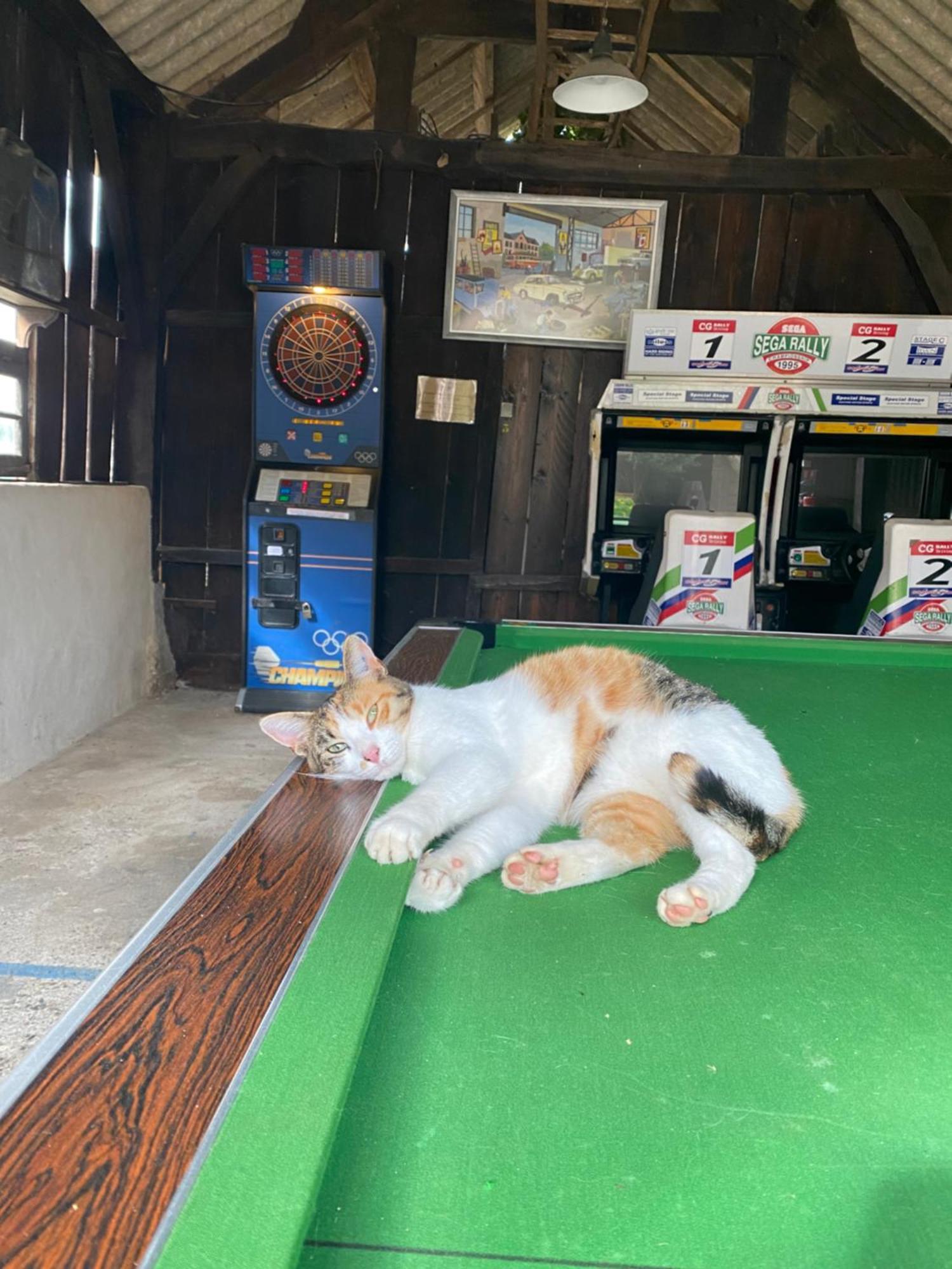Camping La Ferme de Perdigat Limeuil Bagian luar foto