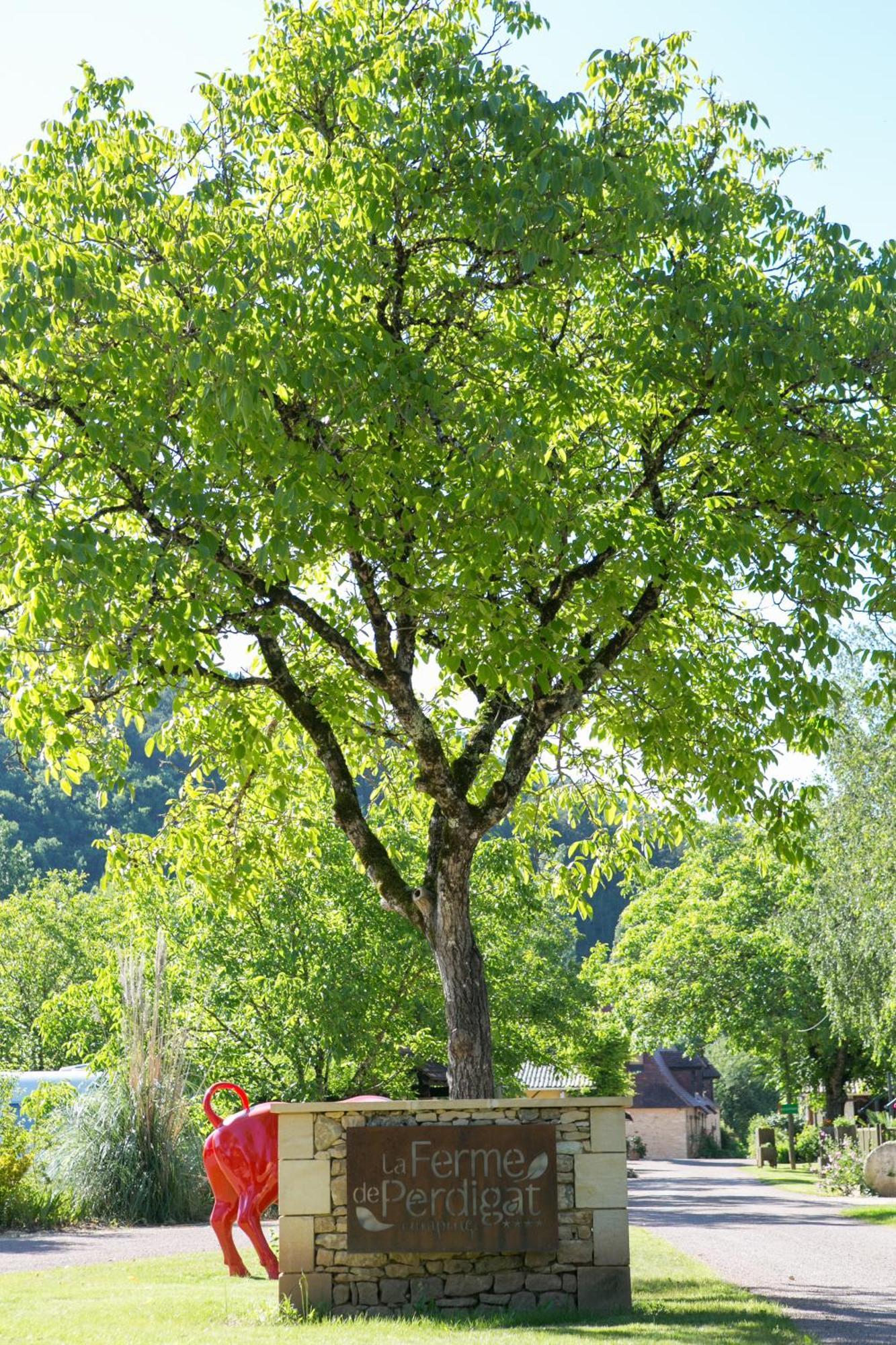 Camping La Ferme de Perdigat Limeuil Bagian luar foto
